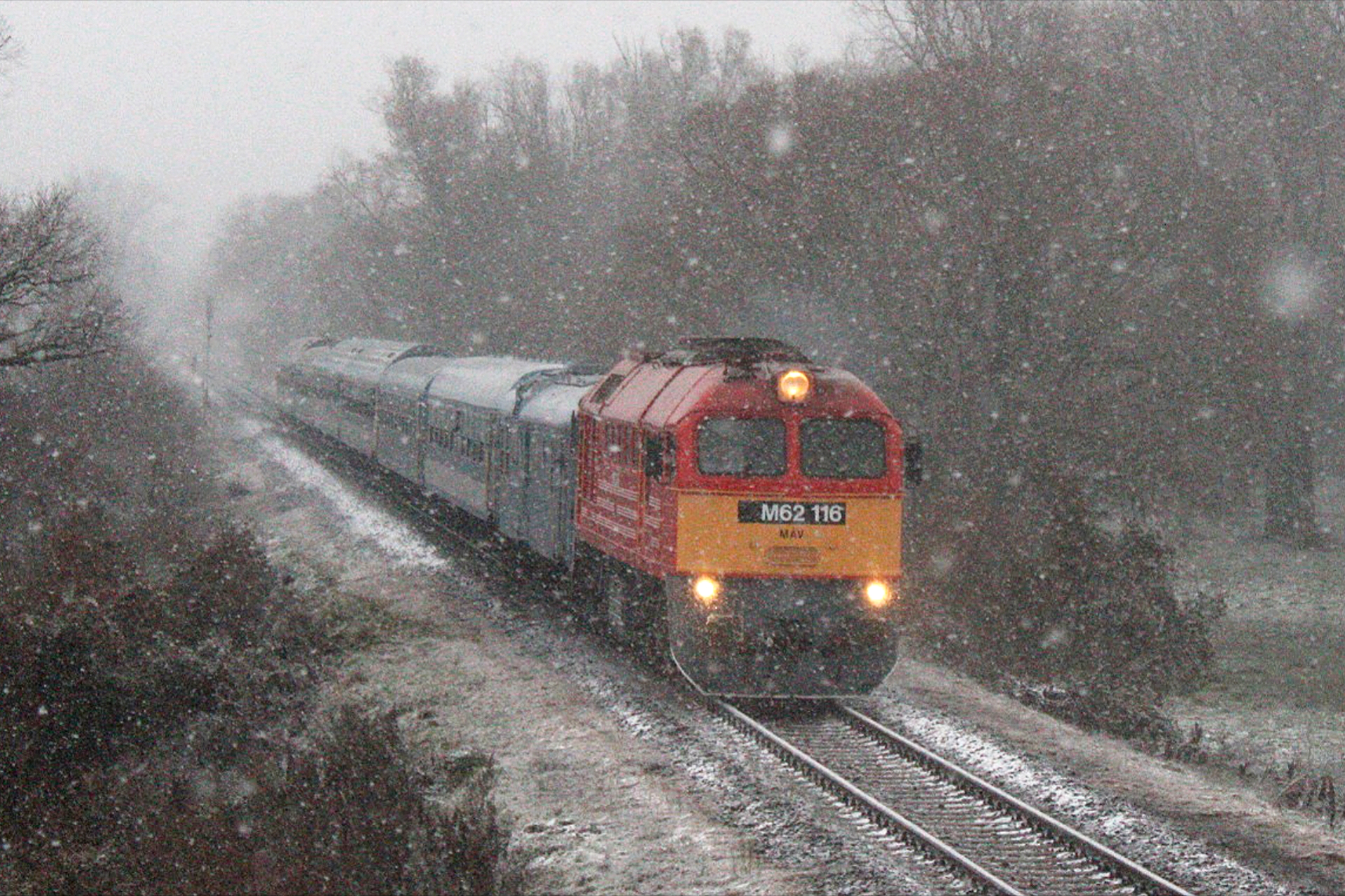 btordemic__20251122_202521532_szaboadam_