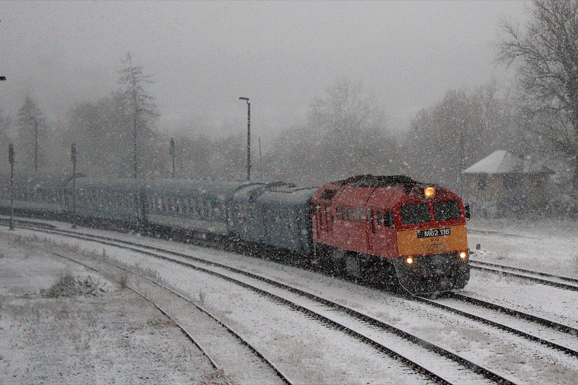 tomaj__20251122_202427452_szaboadam_