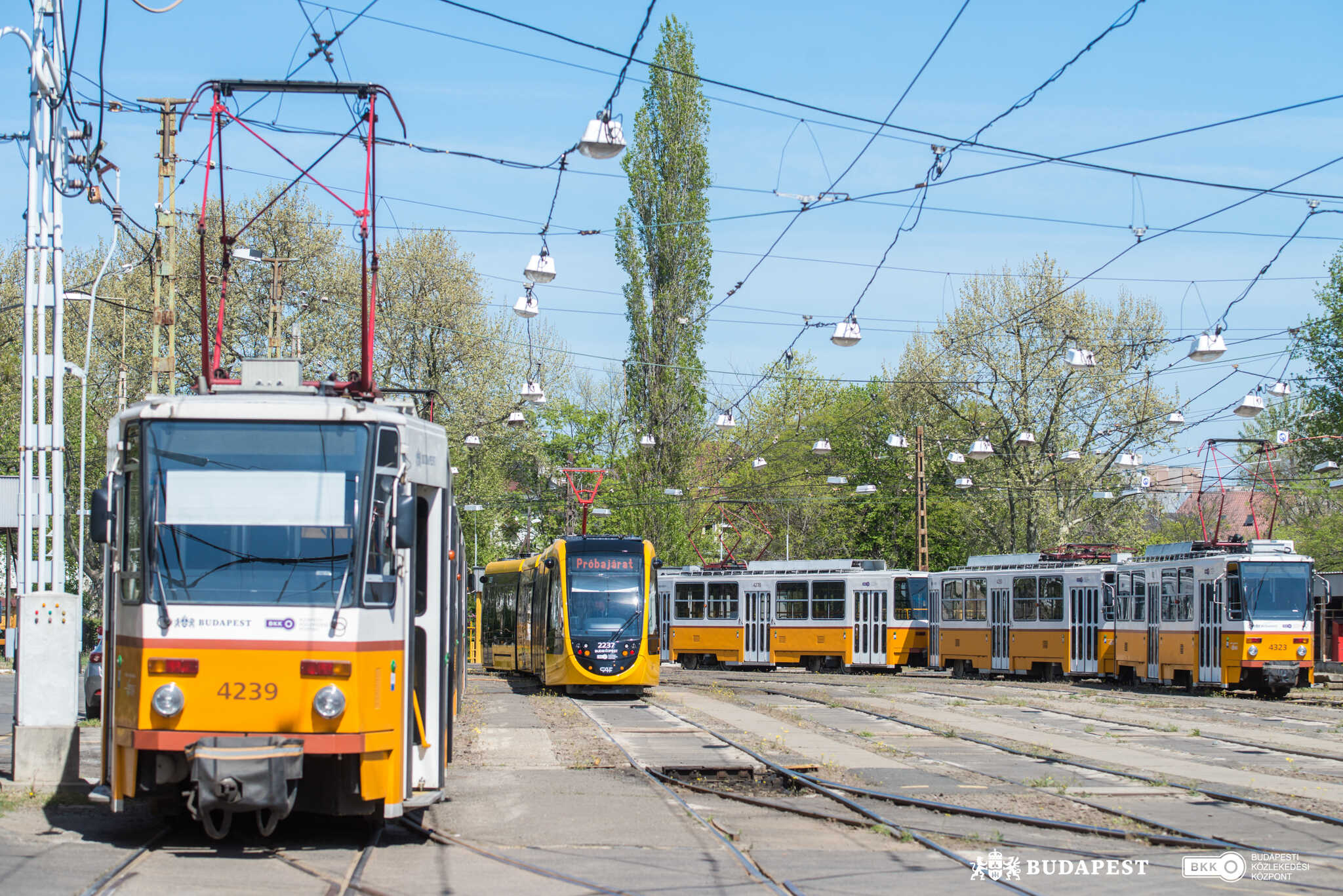 bkk_angyalfold_kocsiszin