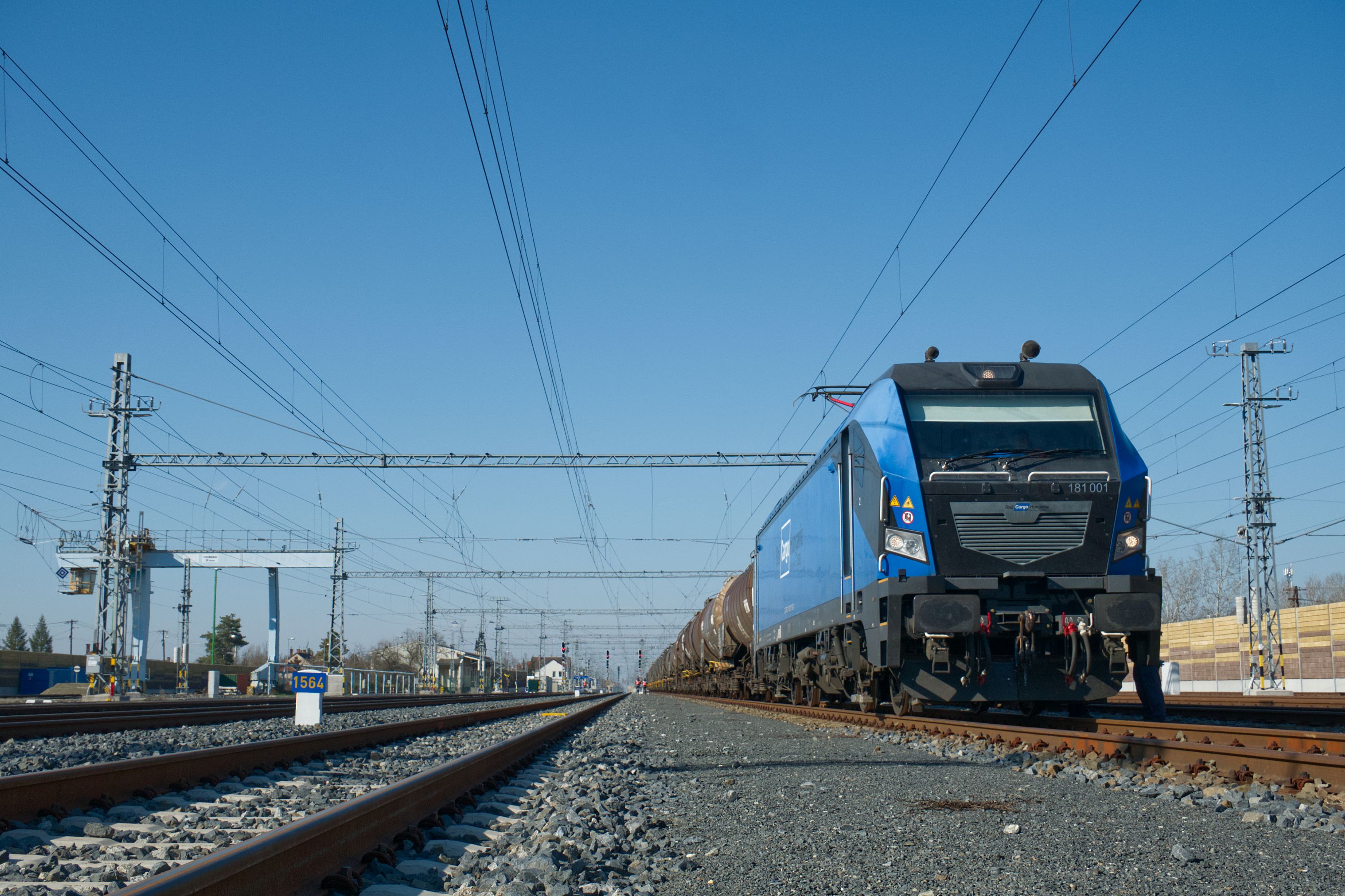 rch_bison_teher_kelebia_laber