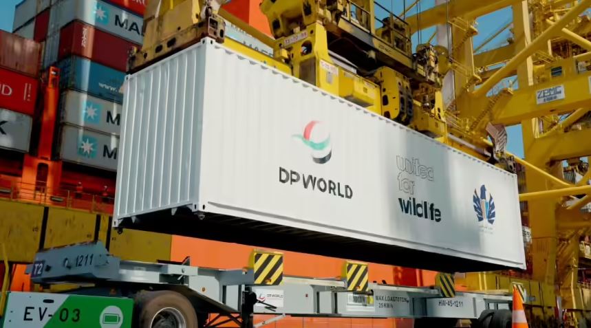 _dp_world_