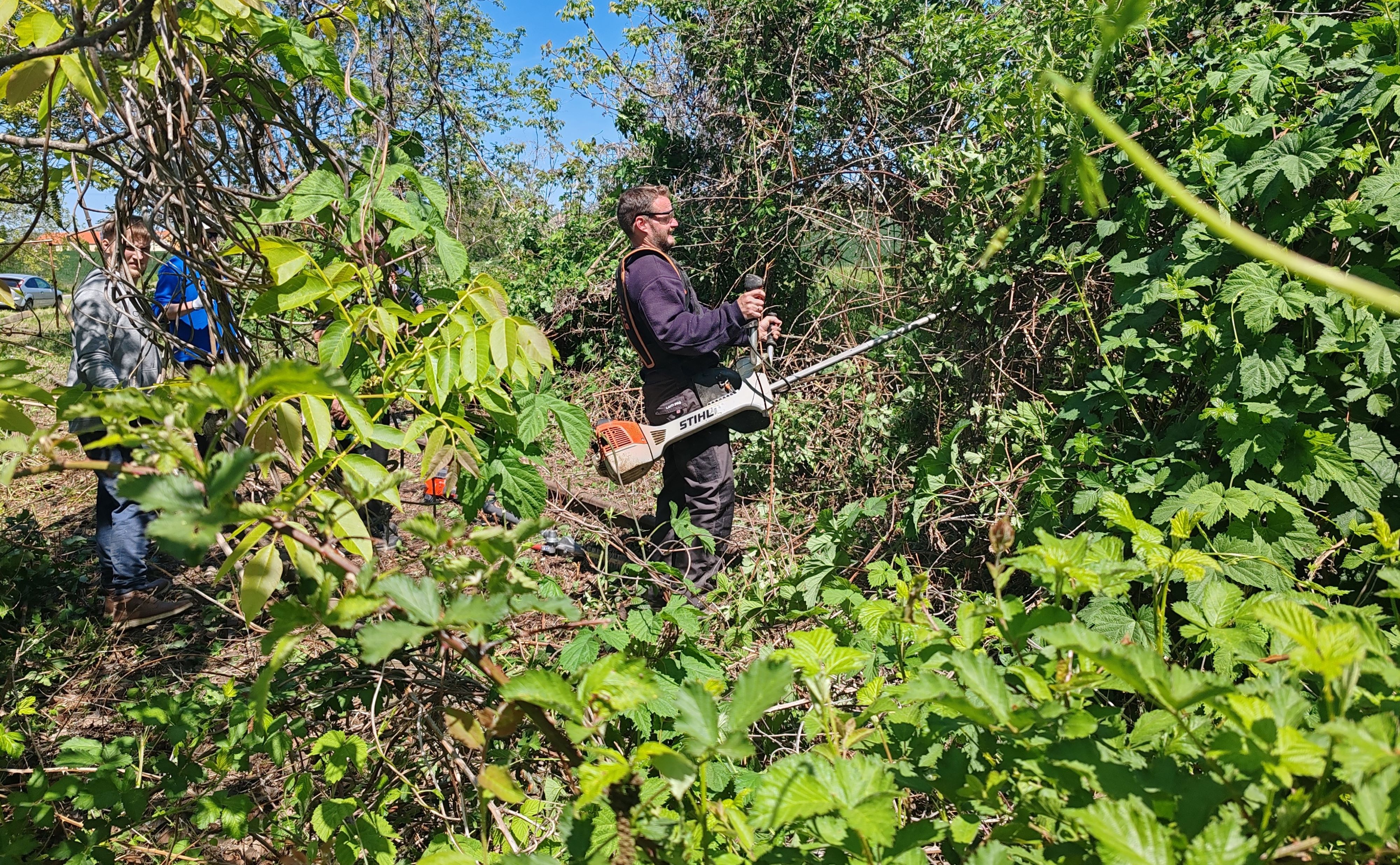 _bozsok_stihl