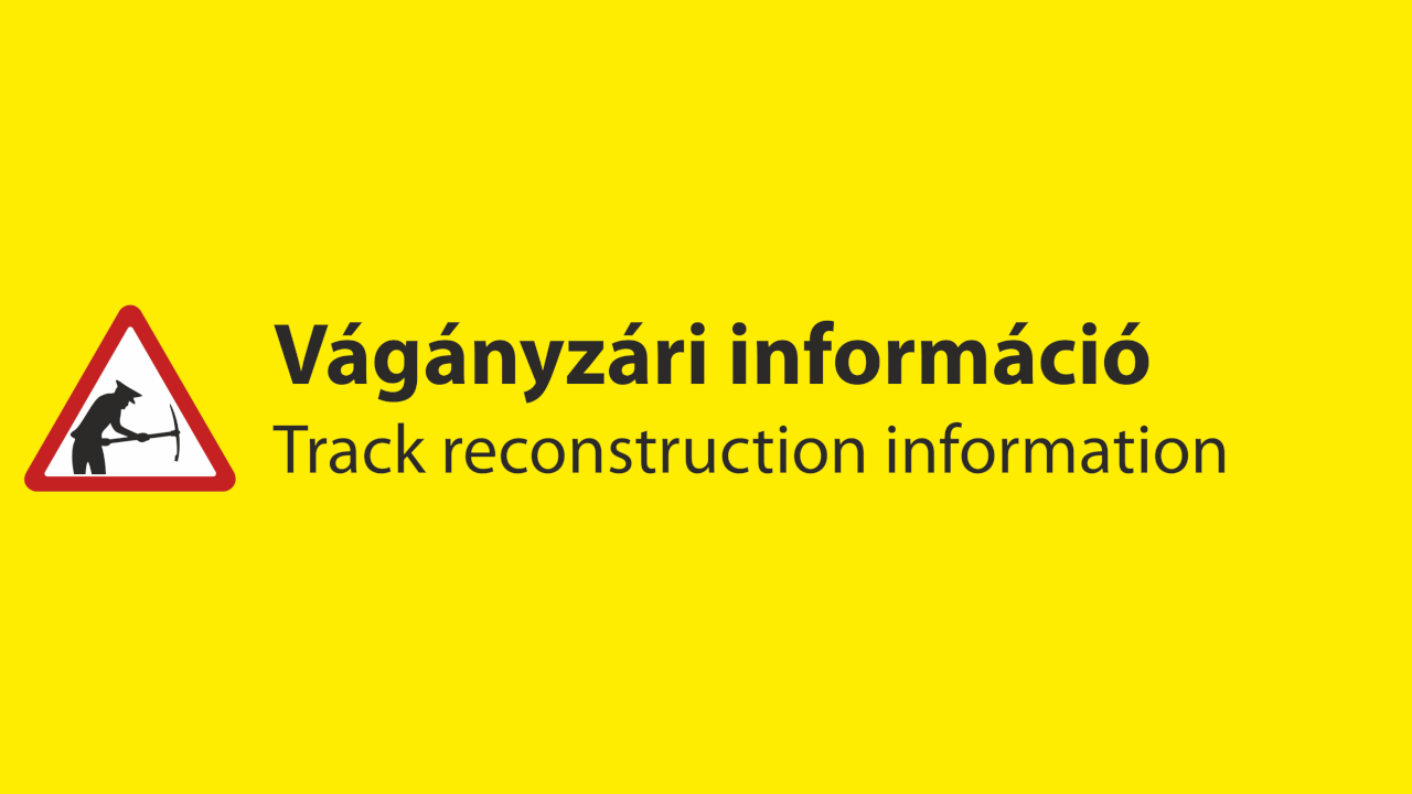 vaganyzar_2020_01