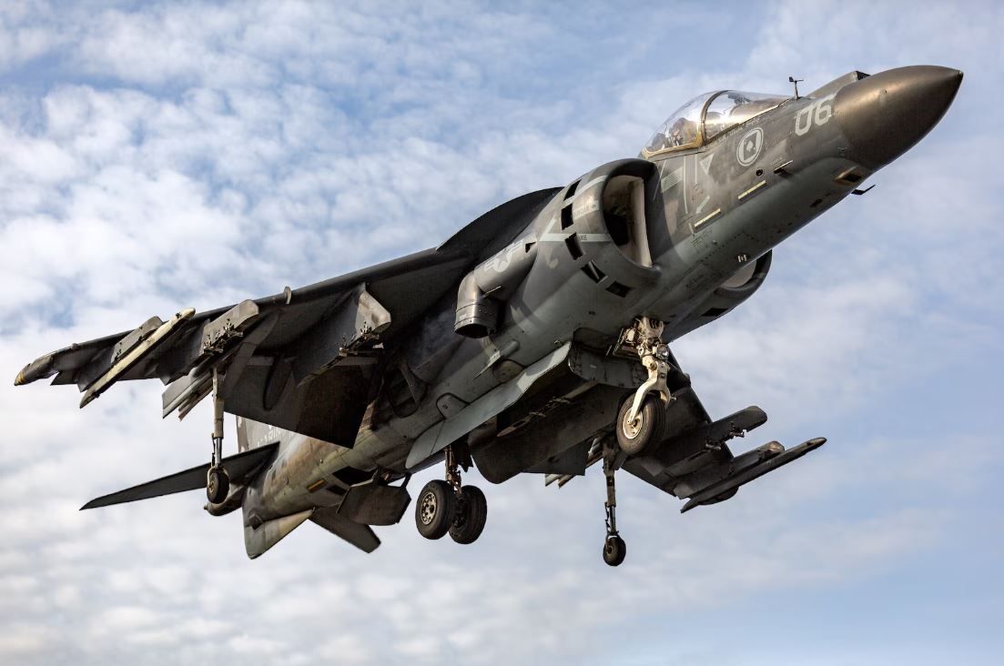 _harrier_ok_