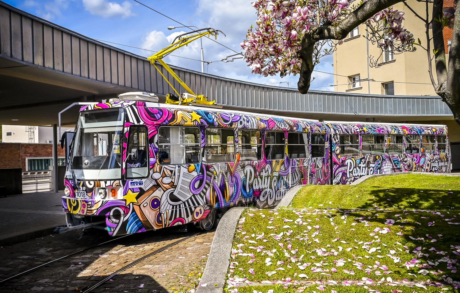 Party Šalina, vidám napokra (fotó: DPMB)