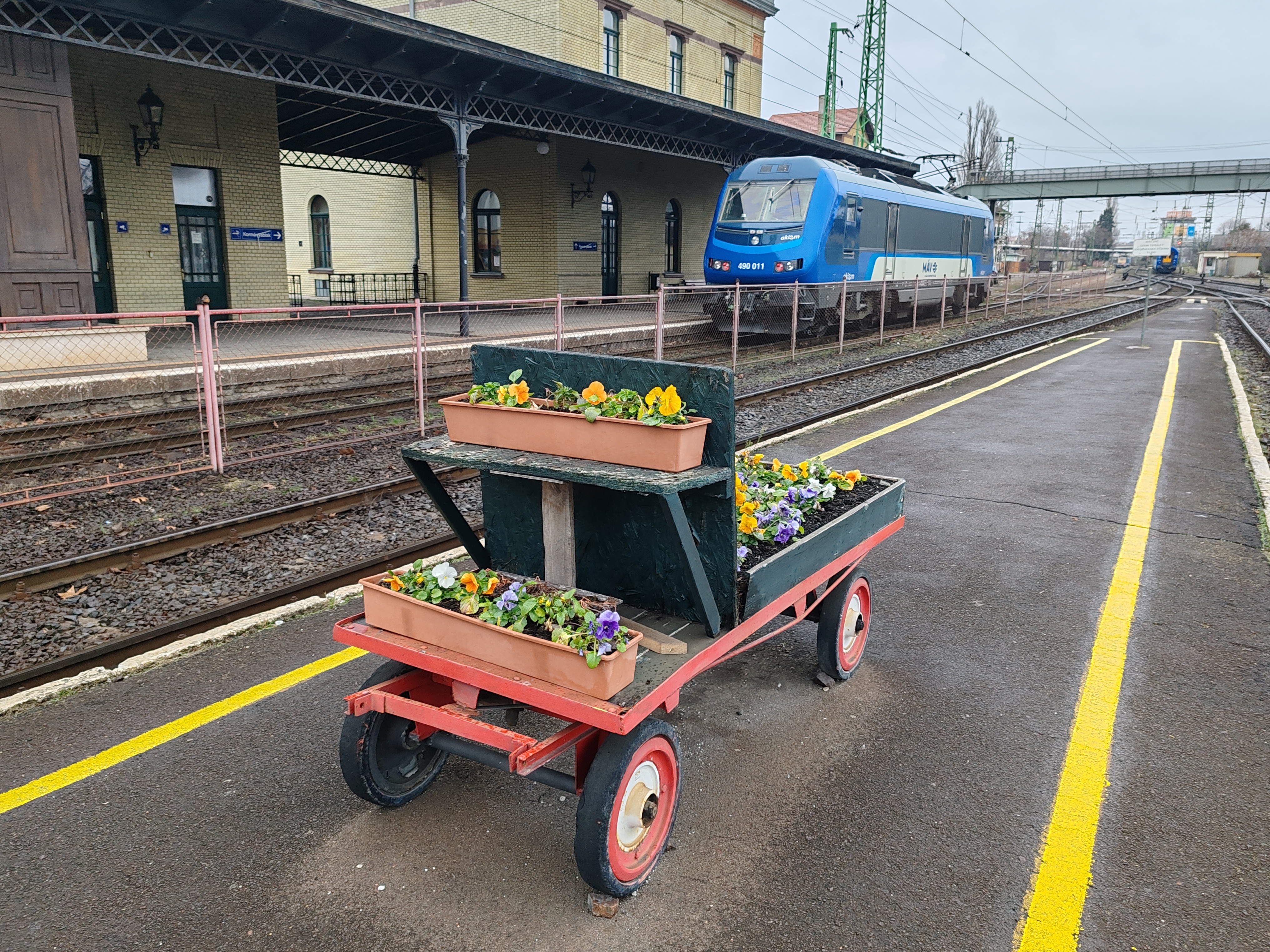 Targoncapetúnia. Pécs vasútállomás ismert széplelkűségéről, nem sokkal arrébb egy másik targoncán is virul a virágoskert. A háttérben bérgép közlekedik, az Astride-ok tizenegyedik példánya. A francia villamos mozdonyok 2025 januárjától viszik a Budapest-Keleti–Pécs intercityket. Nem egyszer beszélgettünk a 490-es sorozatot közelről ismerő, felhasználó, üzemeltetési adataikat ismerő, bizonyos esetekben MÁV középvezetői rangig jutott vasutasokkal arról, mennyire vált be a gép, ám a válaszok alapján még véletlenül sem mernénk állást foglalni, mivel az értékelési skálán a „kellettek, beváltak” véleménytől kezdve a „MÁV hálózati jellemzői eleinte kifogtak rajtuk, de már egyenesbe jutottak” megállapításon át a velős „Mi? Az Astride-ok? Á, azok szarok” lemondó legyintésig volt itt minden, ami elbizonytalanítja az érdeklődőt