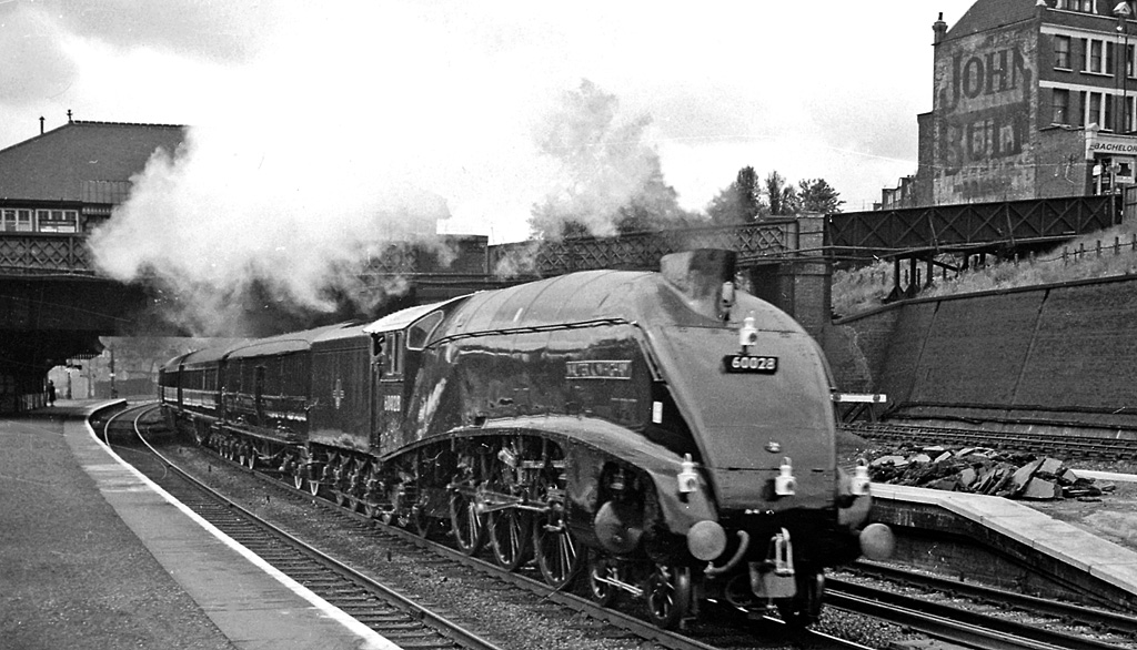 A Harringay West mellett 1961-ben elhaladó királyi vonat A4 osztályú, 60028-as pályaszámú, „Walter K. Whigham” gőzöse a kifejezetten a királyi vonatok esetében alkalmazott négylámpás elrendezésű világításkóddal. A menet Őfelségét, a királynőt és a királyi kíséretet utaztatta Kent hercegének, II. Erzsébet unokatestvérének, Eduárdnak a yorki székesegyházban megtartott esküvőjére. Akkoriban nem bíztak a British Royal Train dízelmozdonyában… (fotó: Ben Brooksban)