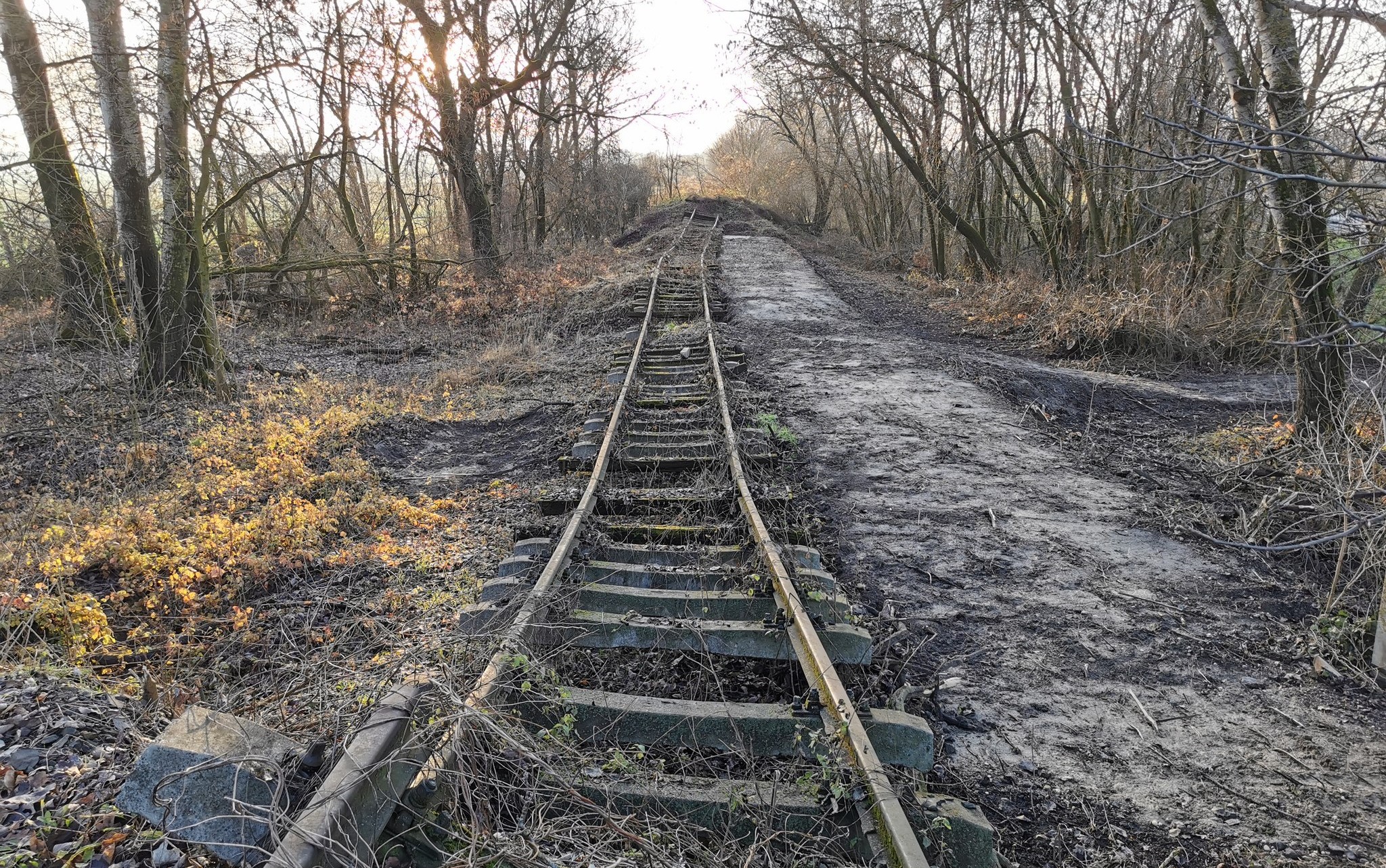 Felsőbogátpuszta, a földmunka nyomai december 8-án (fotó: Balatonszentgyörgy - Somogyszob vasútvonal - 37, Facebook-oldal)