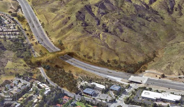 A 101-es autópálya felett átívelő Wallis Annenberg Wildife Crossing látványterve (forrás: Rock Design Associates és National Wildlife Federation)