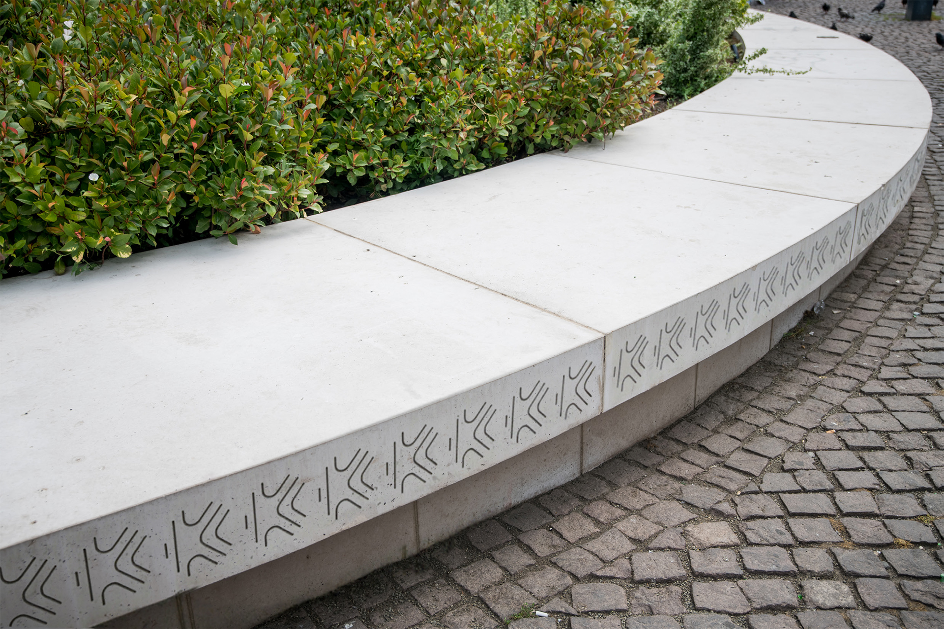 Növénykazetta padka