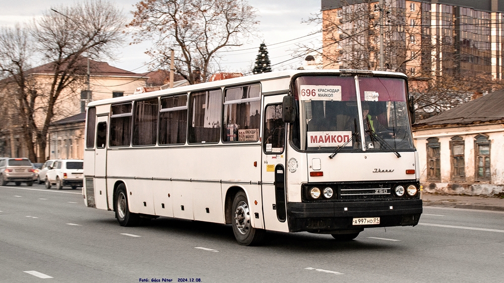 A cég egyetlen Ikarus 250-ese pózol a fotósoknak Krasznodar külvárosában, amint a délutáni gyorsjárattal Adigeföld felé veszi az irányt. A kocsi 2018-ban teljes felújításon esett át, hagyományos piros-fehér festését is ekkor váltotta fel a hófehér, valamint – ami a szakavatott szemnek/fülnek még érdekesebb – szintén ekkor kapott turbós, 180 KW-os Rába D10-es motort is az eredeti szívódízel helyett. A busz mind a mai napig gyakorlatilag makulátlan állapotú, a majkopi flotta vitathatatlan ékköve