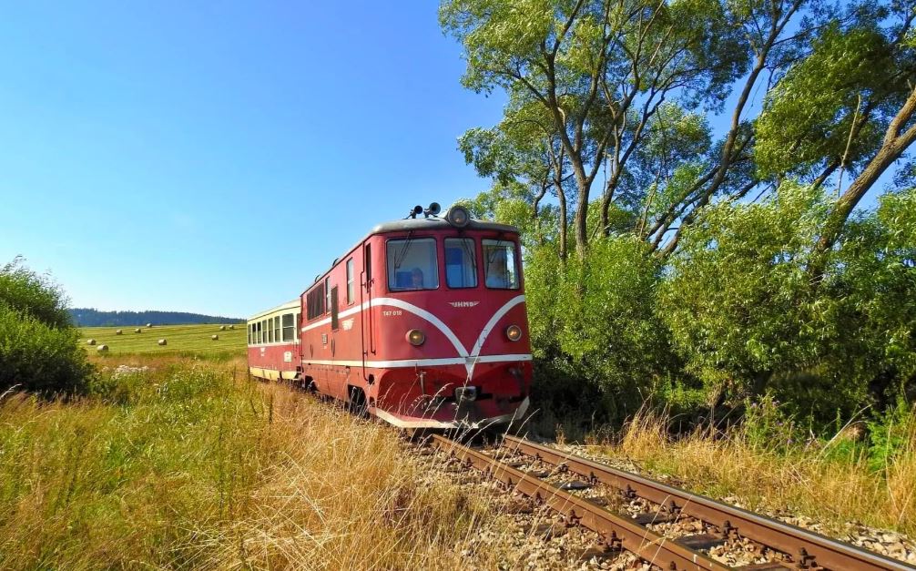 (fotó: kudyznudy.cz)