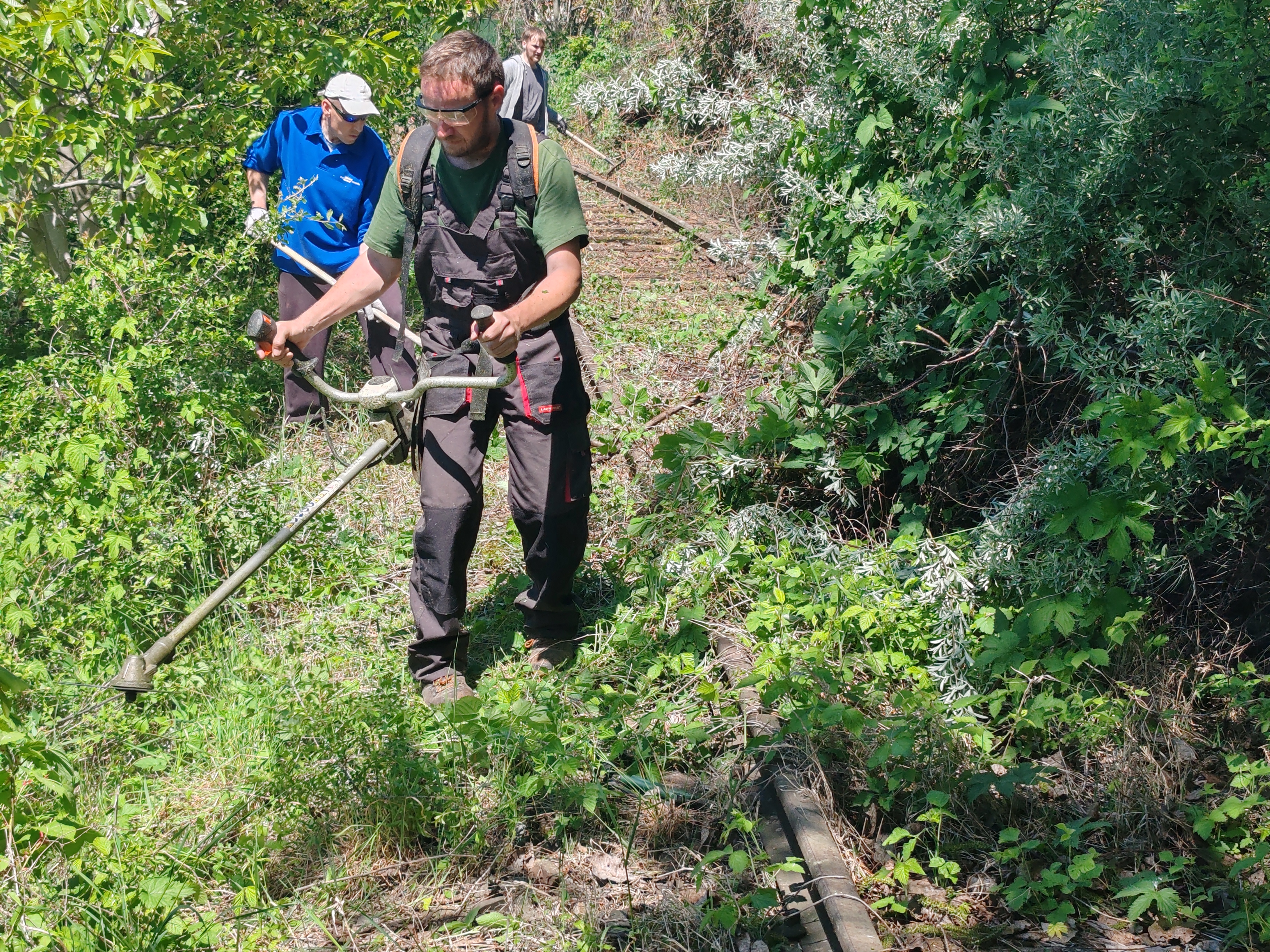 Előmunkás fűkaszával és marokszedői