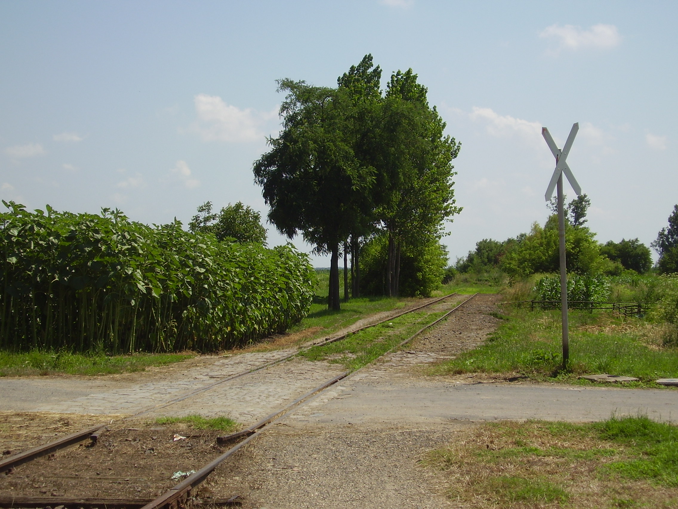 Trianon elvágta a vonalat, most pedig jó eséllyel meg is szűnik. A szerző felvétele 2008. július 1-jén készült